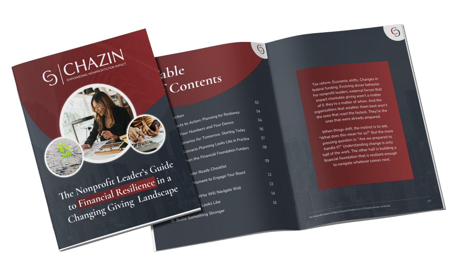 Landing Page Guide Financial Resilience